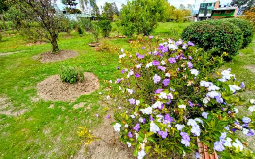 CASA LOTE UBATE