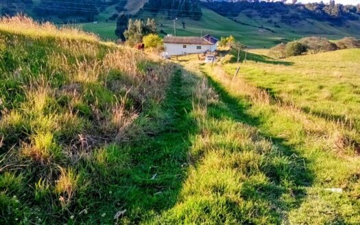 FINCA PRODUCTIVA CON CASA EN CARUPA