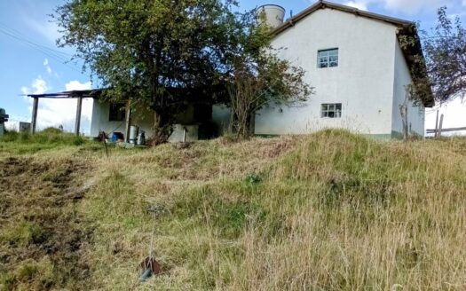 FINCA PRODUCTIVA CON CASA EN CARUPA