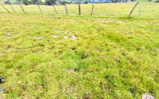 PRODUCTIVA FINCA VDA HATO CARUPA