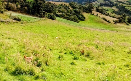 !!ECONOMICA¡¡ FINCA VDA HATO CARUPA