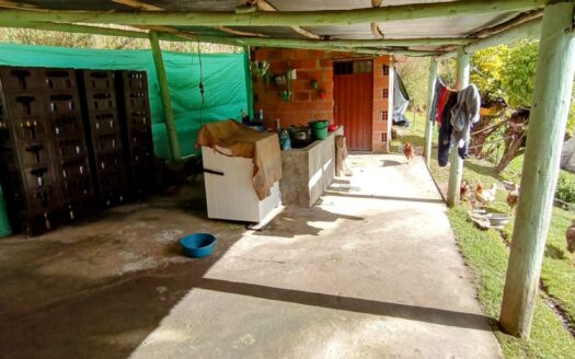 !!ECONOMICA¡¡ FINCA VDA HATO CARUPA