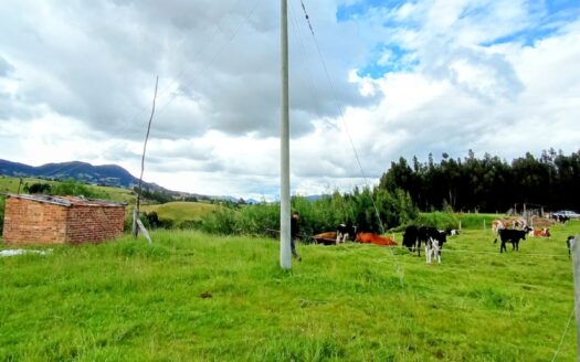 PRODUCTIVA FINCA VDA HATO CARUPA