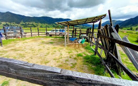 PRODUCTIVA FINCA VDA HATO CARUPA