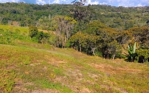 !!lotes muy económicos!! en Barbosa Santander