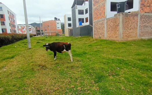 Lote con frente de 7.5 m en Ubaté
