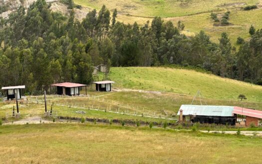 RENTABLE GLAMPING UBATE
