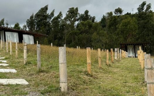 RENTABLE GLAMPING UBATE
