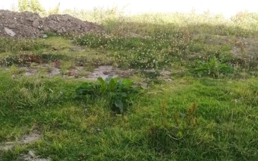 Lote Palogordo