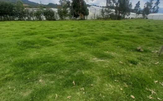 Finca para arándanos o tomate en Fuquene