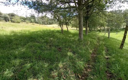 !!Oportunidad de inversion!! Lote cerca a Ubate