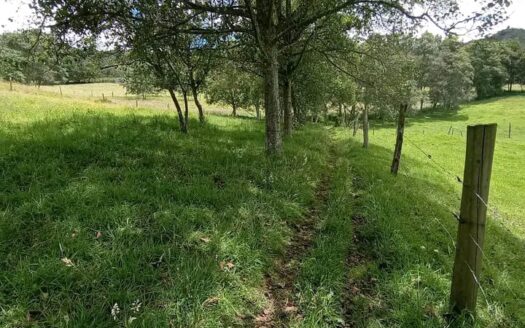 !!Oportunidad de inversion!! Lote cerca a Ubate