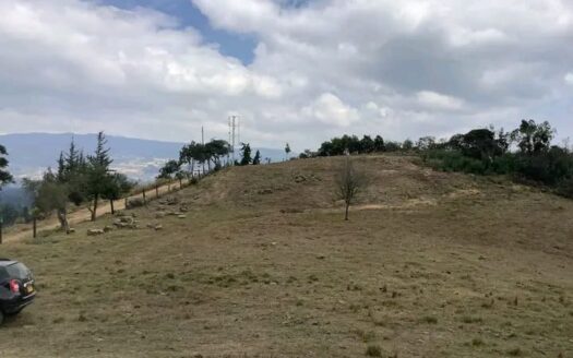 finca en Punta Grande Guacheta