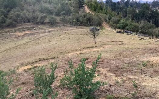 finca en Punta Grande Guacheta
