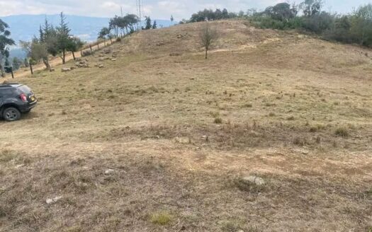 finca en Punta Grande Guacheta