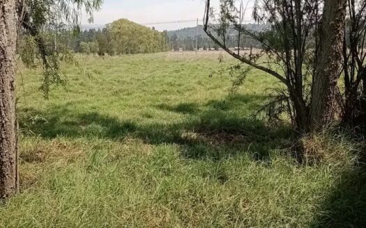 !! económica!! Finca plana cerca a Ubate