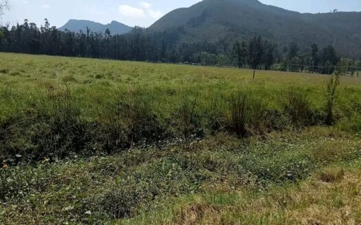 !! económica!! Finca plana cerca a Ubate