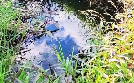 !! Económica!! Finca plana cerca a Capellania