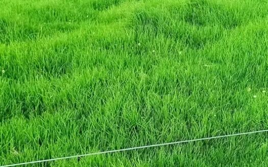 !! Económica!! Finca plana cerca a Capellania