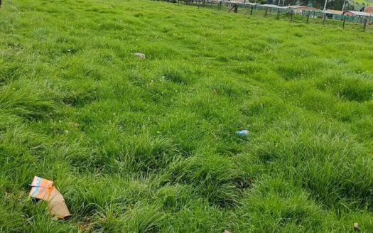 Lote industrial a borde vía pavimentada Ubate