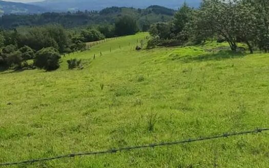 Económica finca de 4.5 fg en Simijaca