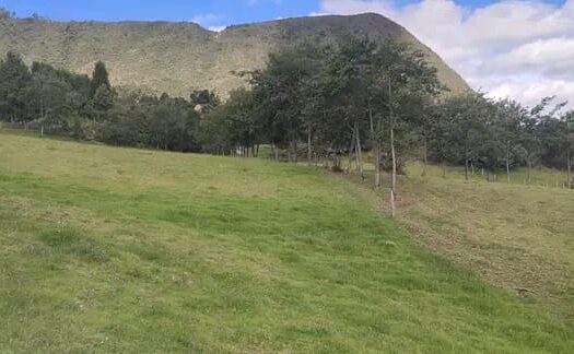 Económica finca de 4.5 fg en Simijaca