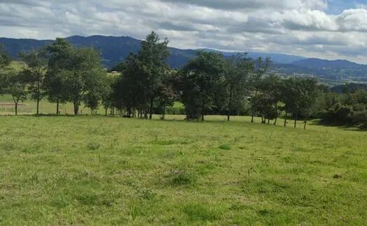 Económica finca de 4.5 fg en Simijaca