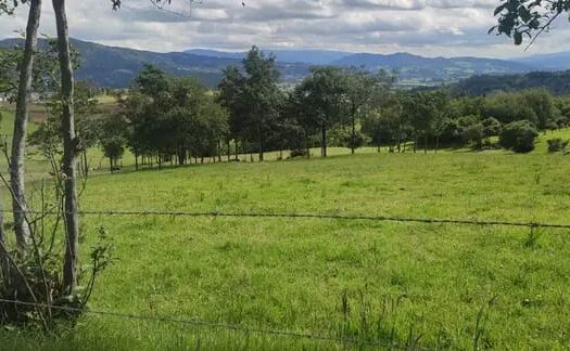 Económica finca de 4.5 fg en Simijaca