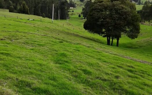 Finca a borde de via hacia Carupa