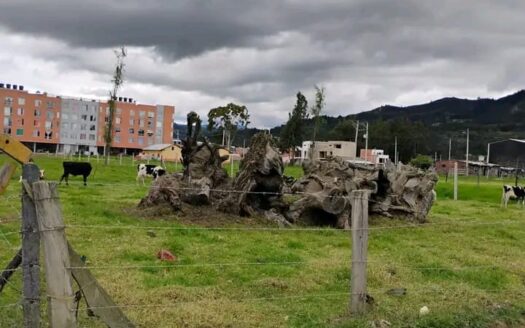 !!Señor constructor!! Lote para construccion de aptos VIS en Ubate