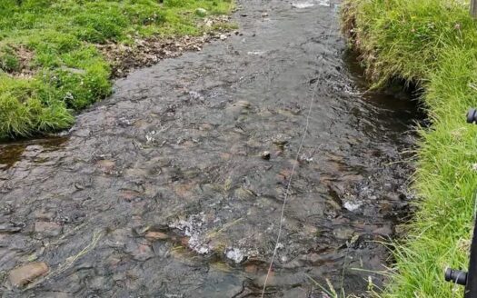 Finca plana con bastante agua en Carupa