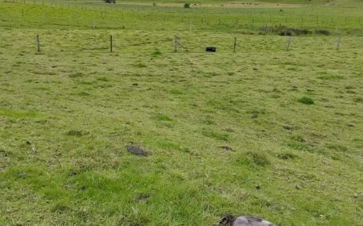 Finca plana con bastante agua en Carupa