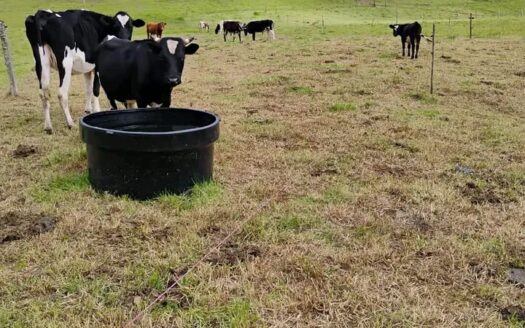 Finca plana con bastante agua en Carupa