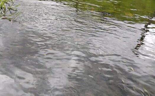 Finca plana con bastante agua en Carupa