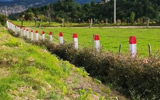 Lote para grande construcción en Ubate