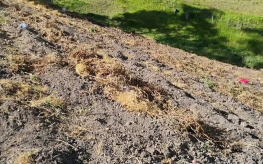👉Finca en 82 millones con vista al lago el Hato👈