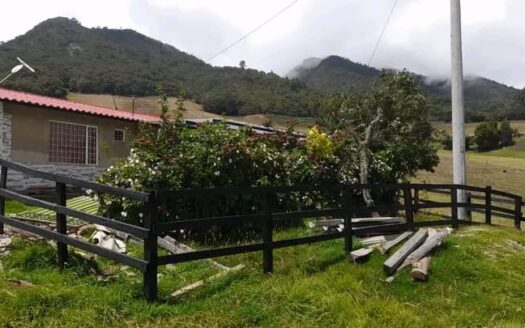 👉 Productiva finca con casa en Carupa👈