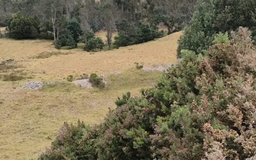 👉 Productiva finca a 1 km de Carupa👈