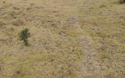 👉 Productiva finca a 1 km de Carupa👈