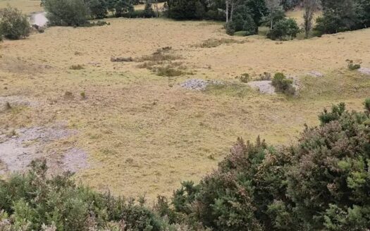 👉 Productiva finca a 1 km de Carupa👈