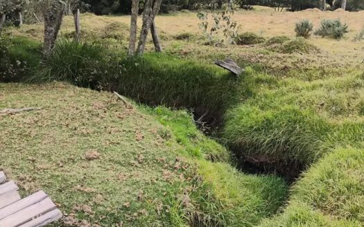 👉 Productiva finca a 1 km de Carupa👈