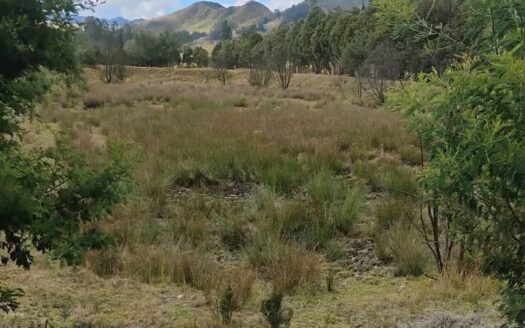 👉 Productiva finca a 1 km de Carupa👈