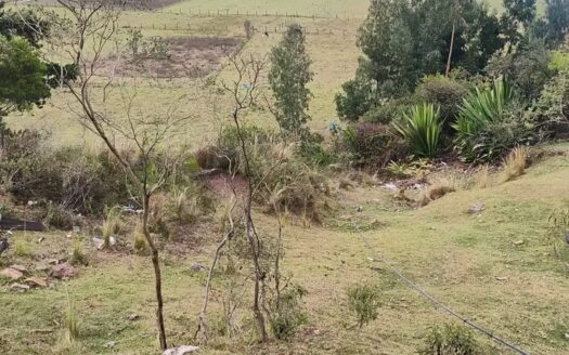 👉Lote con vista a Cucunuba👈