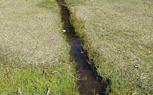 👉 Finca en Raquira vereda Torres Boyaca 👈