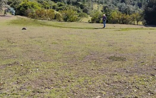 👉 Finca en Raquira vereda Torres Boyaca 👈