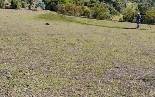 👉 Finca en Raquira vereda Torres Boyaca 👈