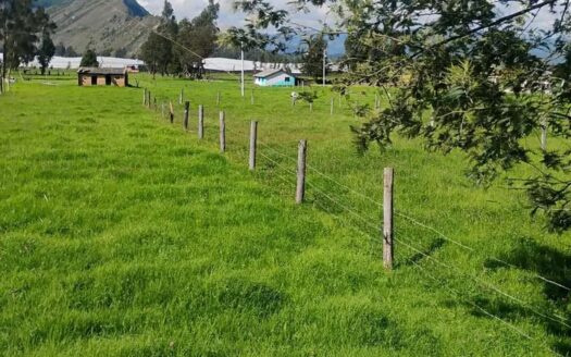 👉Lote de 2.000 m2 en Cucunuba👈