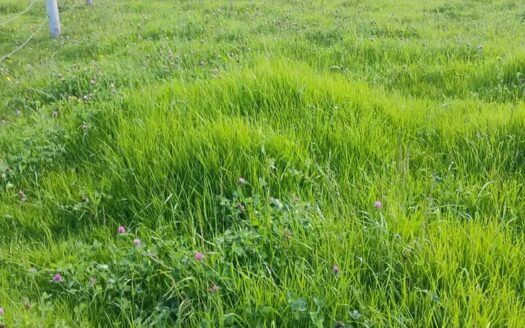 👉Lote de 2.000 m2 en Cucunuba👈