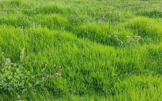 👉Lote de 2.000 m2 en Cucunuba👈