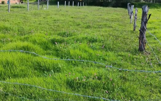 👉Lote de 2.000 m2 en Cucunuba👈